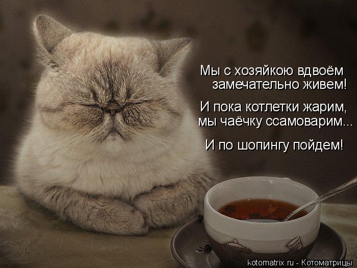 Котоматрица: Мы с хозяйкою вдвоём замечательно живем! И пока котлетки жарим, мы чаёчку ссамоварим... И по шопингу пойдем!