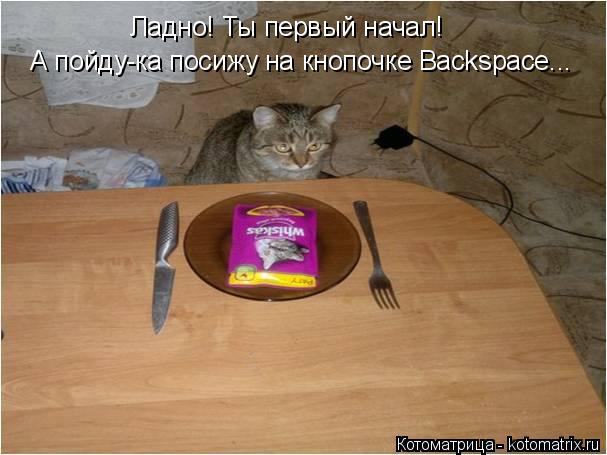 Ладно! Ты первый начал! А пойду-ка посижу на кнопочке Backspace...... Котоматрица: Ладно! Ты первый начал! А пойду-ка посижу на кнопочке Backspace...
