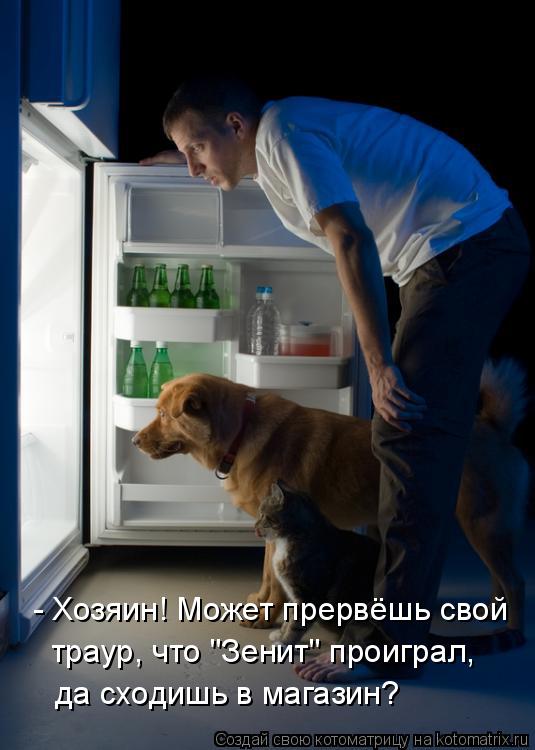 - Хозяин! Может прервёшь свой траур, что "Зенит" проиграл, да сходишь в магазин?... Котоматрица: - Хозяин! Может прервёшь свой траур, что "Зенит" проиграл, да сходишь в магазин?