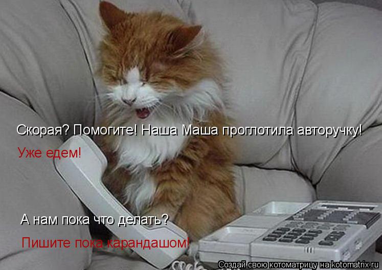 Котоматрица: Скорая? Помогите! Наша Маша проглотила авторучку! Уже едем! Пишите пока карандашом! А нам пока что делать?