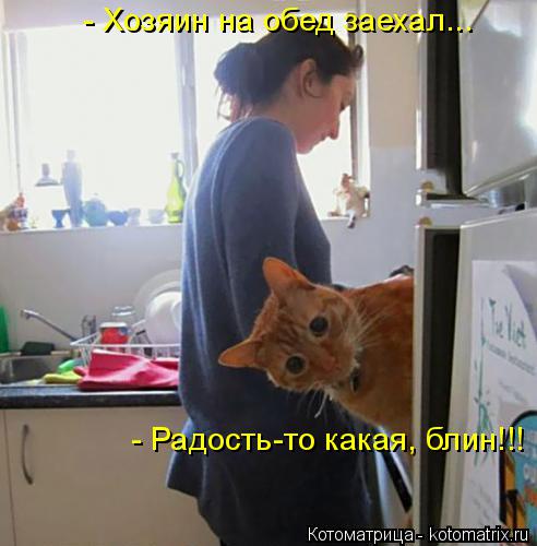 Котоматрица: - Хозяин на обед заехал... - Радость-то какая, блин!!!