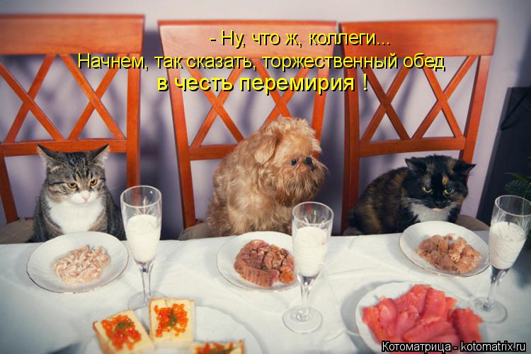 Котоматрица: - Ну, что ж, коллеги... Начнем, так сказать, торжественный обед в честь перемирия !