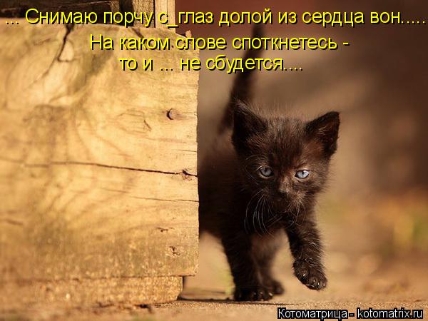 Котоматрица: ... Снимаю порчу с_глаз долой из сердца вон..... На каком слове споткнетесь -  то и ... не сбудется....