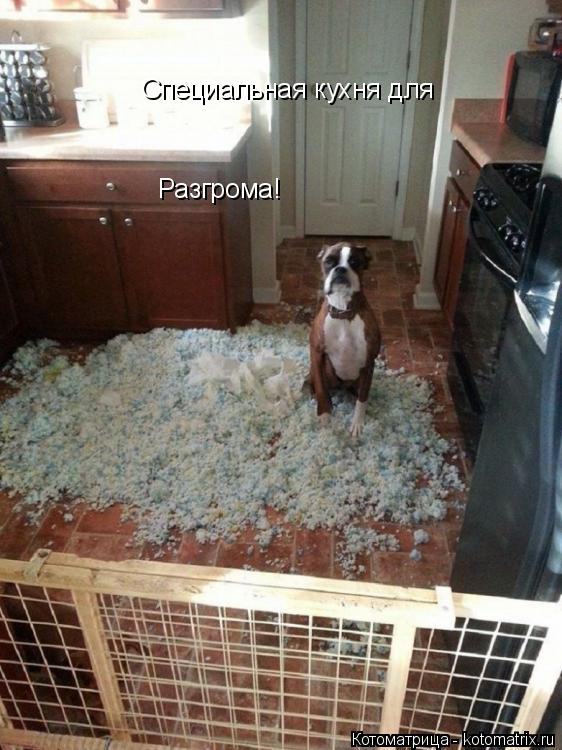 Котоматрица: Специальная кухня для Разгрома!