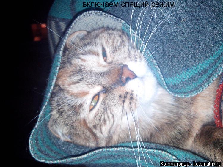 Котоматрица: включаем спящий режим