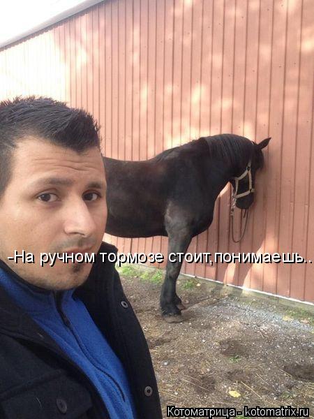 Котоматрица: -На ручном тормозе стоит,понимаешь....