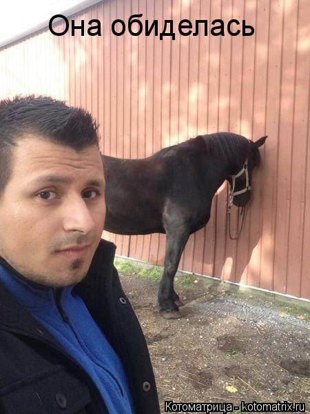 Котоматрица: Она обиделась