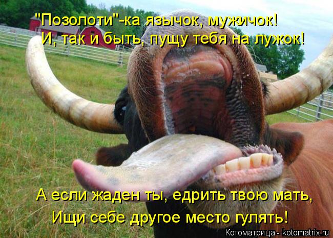 "Позолоти"-ка язычок, мужичок! И, так и быть, пущу тебя на лужок! А если жаден ты, едрить твою мать, ... Котоматрица: "Позолоти"-ка язычок, мужичок! И, так и быть, пущу тебя на лужок! А если жаден ты, едрить твою мать, Ищи себе другое место гулять!