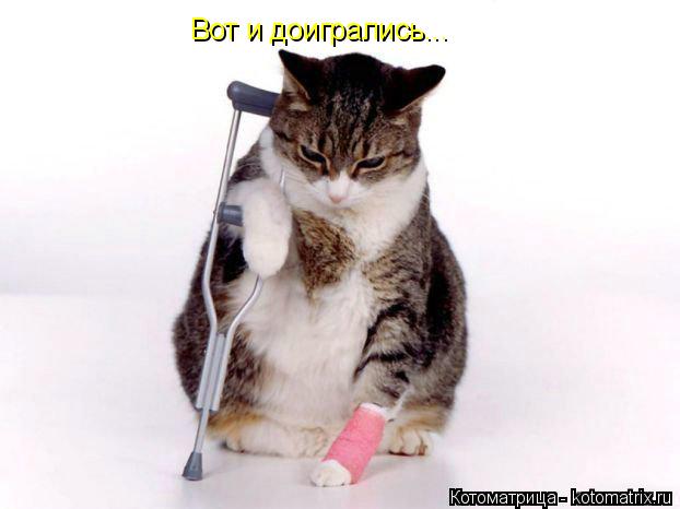 Вот и доигрались...... Котоматрица: Вот и доигрались...