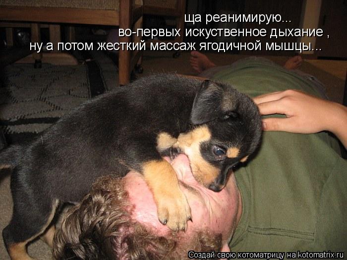ща реанимирую... во-первых искуственное дыхание , ну а потом жесткий массаж ягодичной мышцы...... Котоматрица: ща реанимирую... во-первых искуственное дыхание , ну а потом жесткий массаж ягодичной мышцы...