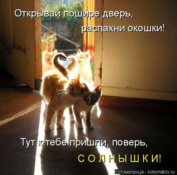Котоматрица: Открывай пошире дверь,  распахни окошки! Тут к тебе пришли, поверь, С О Л Н Ы Ш К И!
