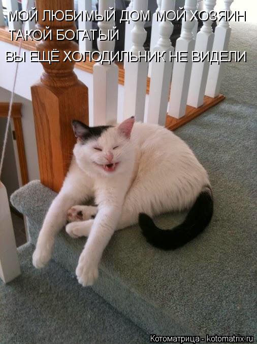 МОЙ ЛЮБИМЫЙ ДОМ МОЙ ХОЗЯИН ТАКОЙ БОГАТЫЙ ВЫ ЕЩЁ ХОЛОДИЛЬНИК НЕ ВИДЕЛИ... Котоматрица: МОЙ ЛЮБИМЫЙ ДОМ МОЙ ХОЗЯИН ТАКОЙ БОГАТЫЙ ВЫ ЕЩЁ ХОЛОДИЛЬНИК НЕ ВИДЕЛИ