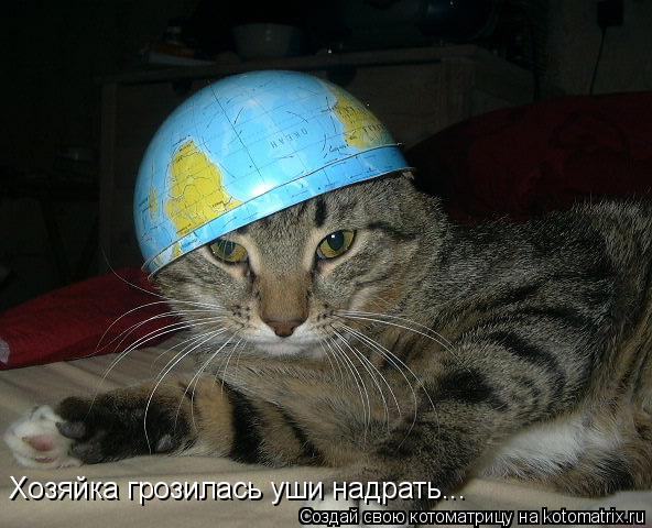 Хозяйка грозилась уши надрать...... Котоматрица: Хозяйка грозилась уши надрать...