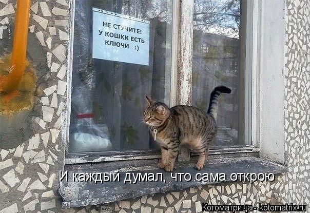 И каждый думал, что сама открою... Котоматрица: И каждый думал, что сама открою