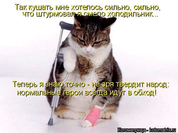 Котоматрица: Так кушать мне хотелось сильно, сильно, что штурмовал я смело холодильник... Теперь я знаю точно - не зря твердит народ: нормальные герои всег