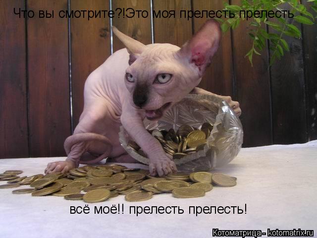 Котоматрица: Что вы смотрите?!Это моя прелесть прелесть  всё моё!! прелесть прелесть!  всё моё!! прелесть прелесть!