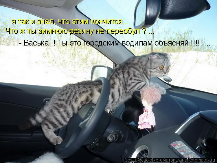 Котоматрица: ... я так и знал, что этим кончится... Что ж ты зимнюю резину не переобул ?.... - Васька !! Ты это городским водилам объясняй !!!!!....