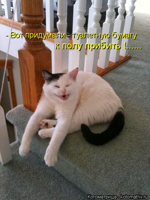 Котоматрица: - Вот придумали - туалетную бумагу  к полу прибить !......