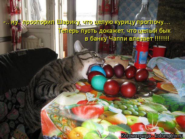 Котоматрица: -.. ну.. проспорил Шарику, что целую курицу проглочу.... Теперь пусть докажет, что целый бык в банку Чаппи влезает !!!!!!!