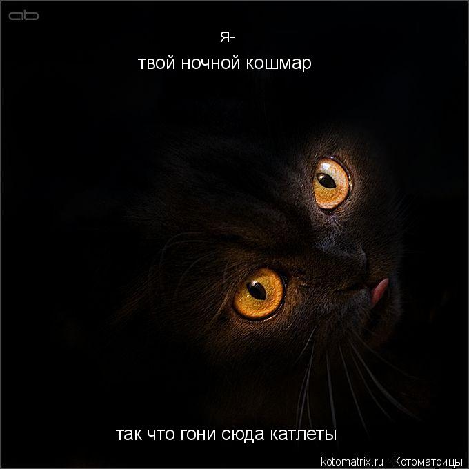 Котоматрица: я- твой ночной кошмар так что гони сюда катлеты