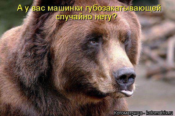 Котоматрица: А у вас машинки губозакатывающей случайно нету?