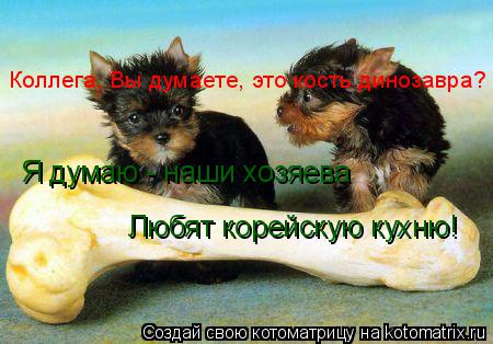 Котоматрица: Коллега, Вы думаете, это кость динозавра? Я думаю - наши хозяева Любят корейскую кухню!
