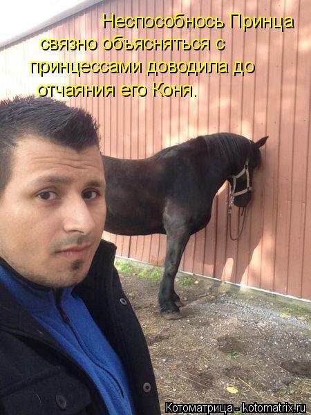 Неспособнось Принца связно объясняться с принцессами доводила до отчаяния его Коня.... Котоматрица: Неспособнось Принца связно объясняться с принцессами доводила до отчаяния его Коня.