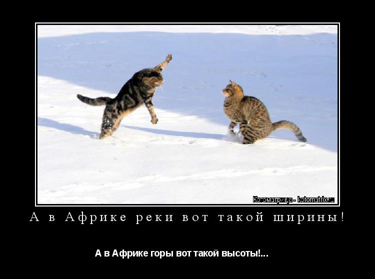 А в Африке реки вот такой ширины! А в Африке горы вот такой высоты!... ... Котоматрица: А в Африке реки вот такой ширины! А в Африке горы вот такой высоты!...