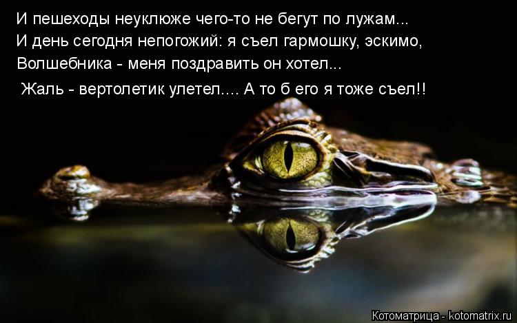 И пешеходы неуклюже чего-то не бегут по лужам... И день сегодня непогожий: я съел гармошку, эскимо, В... Котоматрица: И пешеходы неуклюже чего-то не бегут по лужам... И день сегодня непогожий: я съел гармошку, эскимо, Волшебника - меня поздравить он хотел... Жал