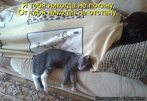 Я тебя никогда не покину... От тебя никогда не отстану...... Котоматрица: Я тебя никогда не покину... От тебя никогда не отстану...