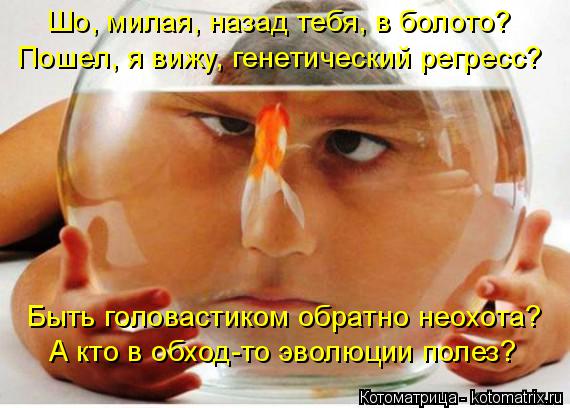 Шо, милая, назад тебя, в болото? Пошел, я вижу, генетический регресс? Быть головастиком обратно неохо... Котоматрица: Шо, милая, назад тебя, в болото? Пошел, я вижу, генетический регресс? Быть головастиком обратно неохота? А кто в обход-то эволюции полез?