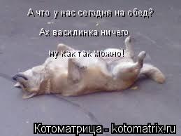 А что у нас сегодня на обед? Ах василинка ничего ну как так можно!... Котоматрица: А что у нас сегодня на обед? Ах василинка ничего ну как так можно!