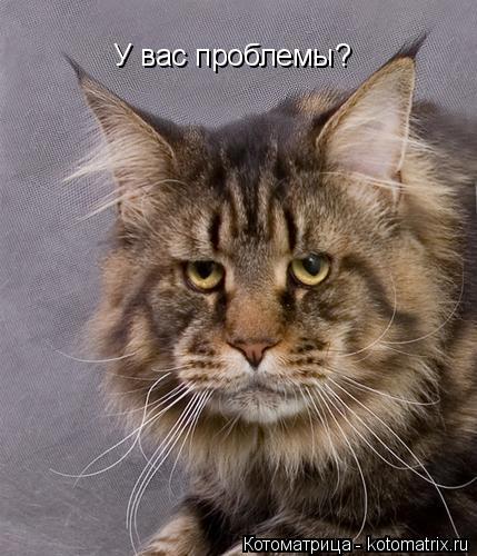 Котоматрица: У вас проблемы?