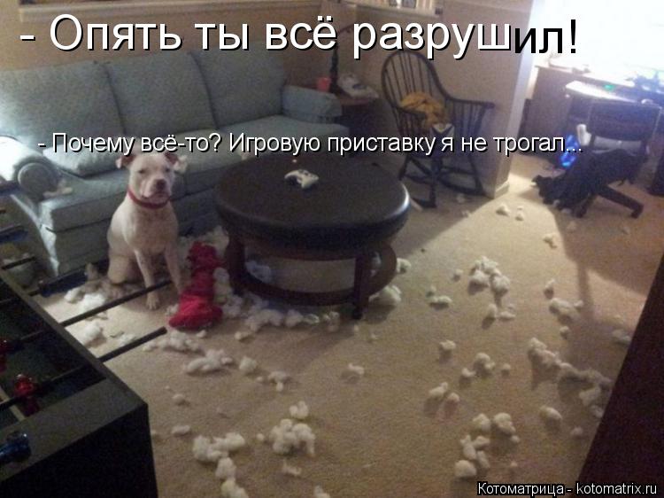 - Опять ты всё разруш ил! - Почему всё-то? Игровую приставку я не трогал...... Котоматрица: - Опять ты всё разруш ил! - Почему всё-то? Игровую приставку я не трогал...
