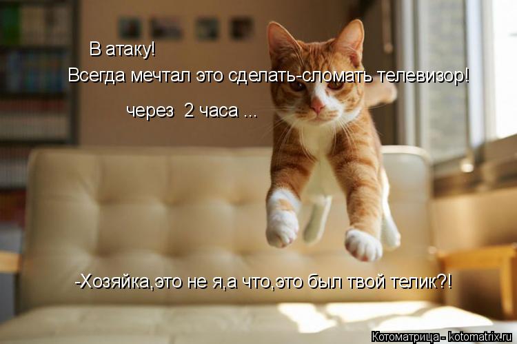 Котоматрица: В атаку! через  2 часа ...  Всегда мечтал это сделать-сломать телевизор! -Хозяйка,это не я,а что,это был твой телик?!