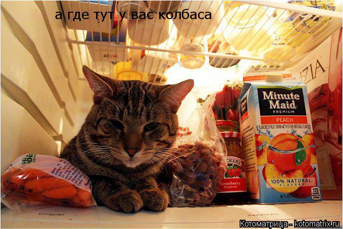 а где тут у вас колбаса... Котоматрица: а где тут у вас колбаса