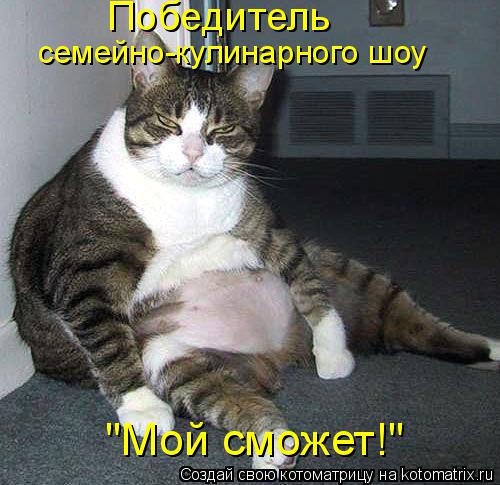 Победитель семейно-кулинарного шоу "Мой сможет!"... Котоматрица: Победитель семейно-кулинарного шоу "Мой сможет!"