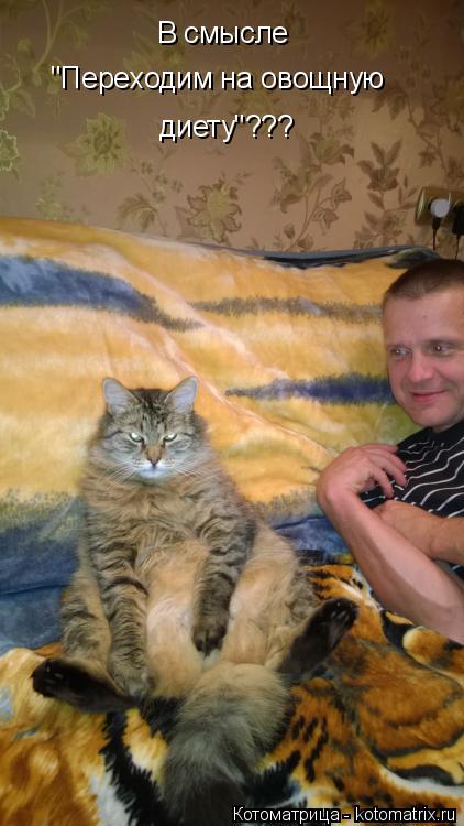 В смысле "Переходим на овощную диету"???... Котоматрица: В смысле "Переходим на овощную диету"???