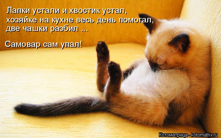 Лапки устали и хвостик устал, хозяйке на кухне весь день помогал, две чашки разбил ... Самовар сам у... Котоматрица: Лапки устали и хвостик устал, хозяйке на кухне весь день помогал, две чашки разбил ... Самовар сам упал!
