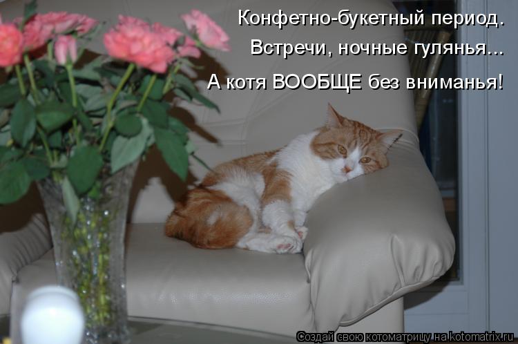Конфетно-букетный период. Встречи, ночные гулянья... А котя ВООБЩЕ без вниманья!... Котоматрица: Конфетно-букетный период. Встречи, ночные гулянья... А котя ВООБЩЕ без вниманья!