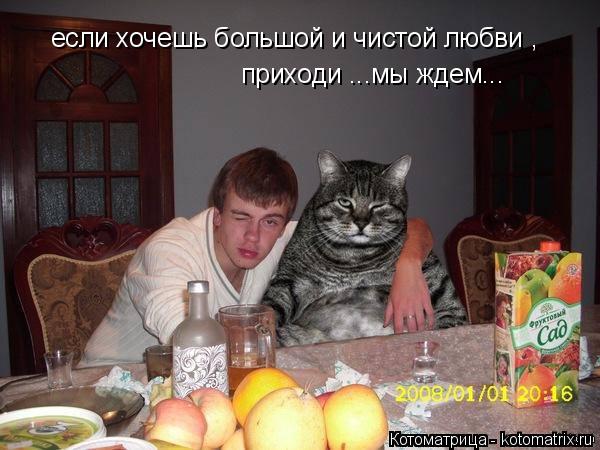если хочешь большой и чистой любви , приходи ...мы ждем...... Котоматрица: если хочешь большой и чистой любви , приходи ...мы ждем...