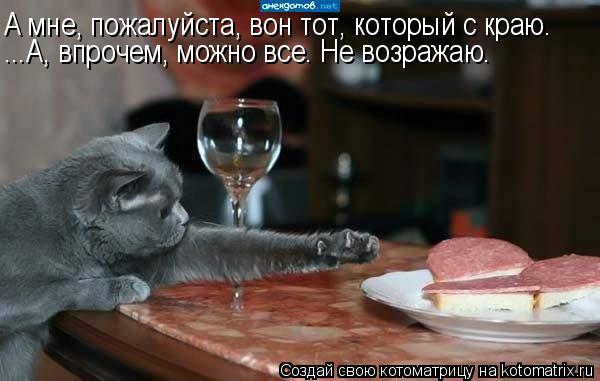Котоматрица: А мне, пожалуйста, вон тот, который с краю. ...А, впрочем, можно все. Не возражаю.