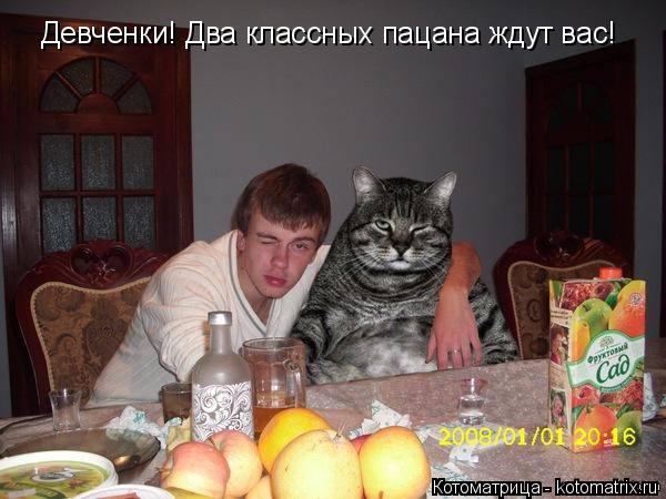 Девченки! Два классных пацана ждут вас!... Котоматрица: Девченки! Два классных пацана ждут вас!