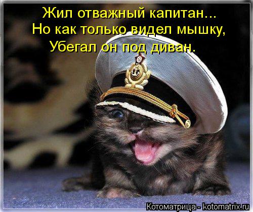 Жил отважный капитан... Но как только видел мышку, Убегал он под диван.... Котоматрица: Жил отважный капитан... Но как только видел мышку, Убегал он под диван.