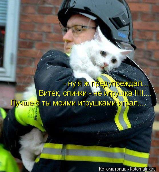 Котоматрица: - ну я ж предупреждал.... Витёк, спички - не игрушка !!!!.... Лучше б ты моими игрушками играл....