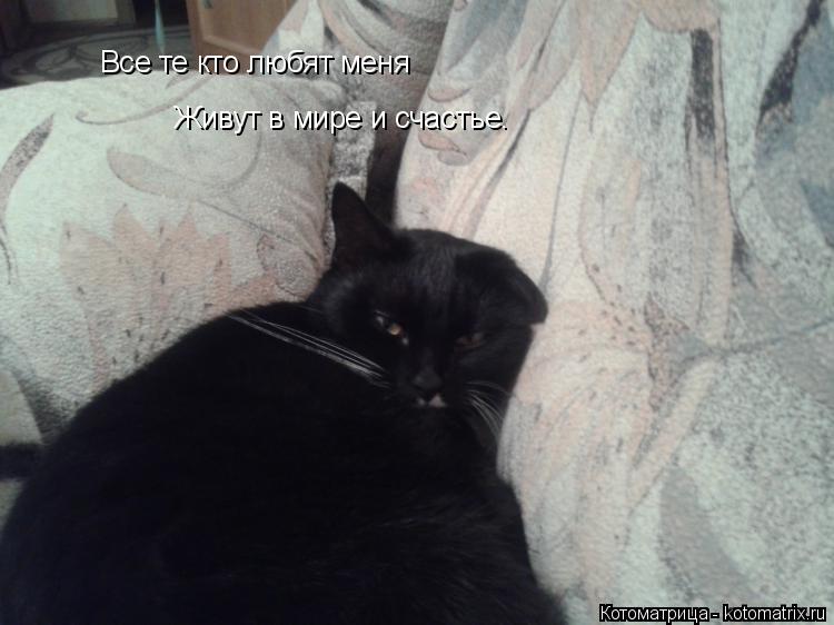 Котоматрица: Все те кто любят меня Живут в мире и счастье.