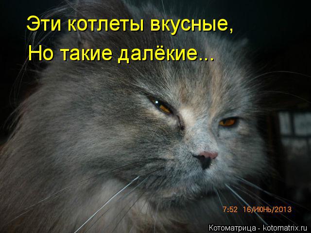 Котоматрица: Эти котлеты вкусные, Но такие далёкие...