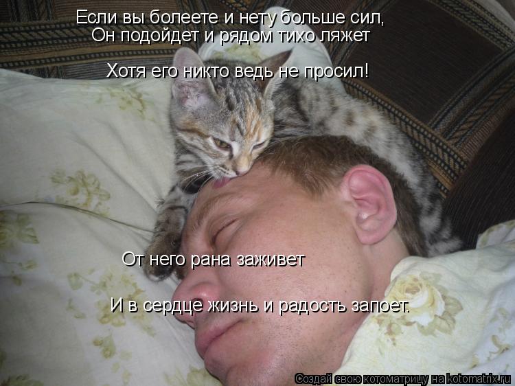 Котоматрица: Если вы болеете и нету больше сил, Он подойдет и рядом тихо ляжет Хотя его никто ведь не просил! От него рана заживет И в сердце жизнь и радос