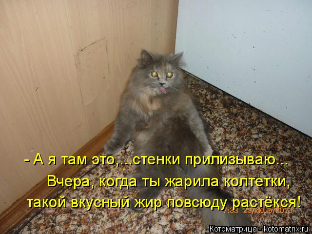 Котоматрица: - А я там это,...стенки прилизываю...  Вчера, когда ты жарила колтетки, такой вкусный жир повсюду растёкся!