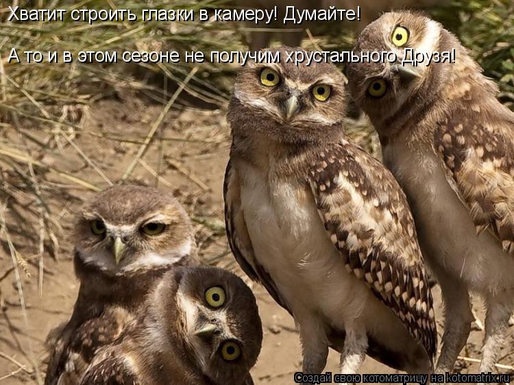Хватит строить глазки в камеру! Думайте! А то и в этом сезоне не получим хрустального Друзя!... Котоматрица: Хватит строить глазки в камеру! Думайте! А то и в этом сезоне не получим хрустального Друзя!